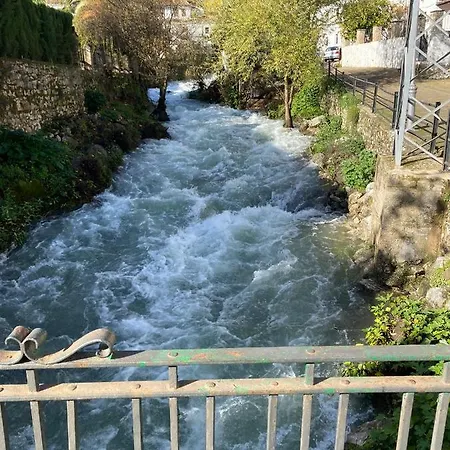 Any * Benaojan